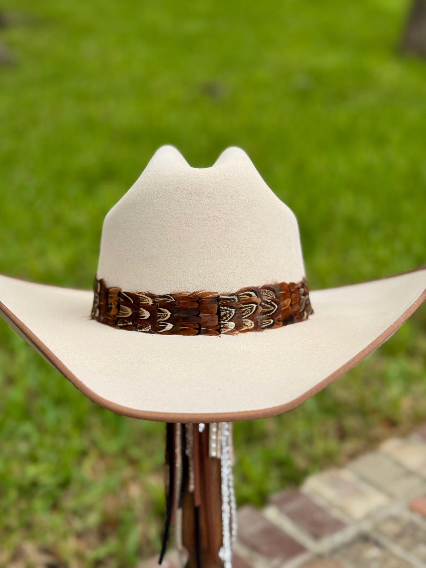 Pheasant Feather Hatband (Dark Brown)