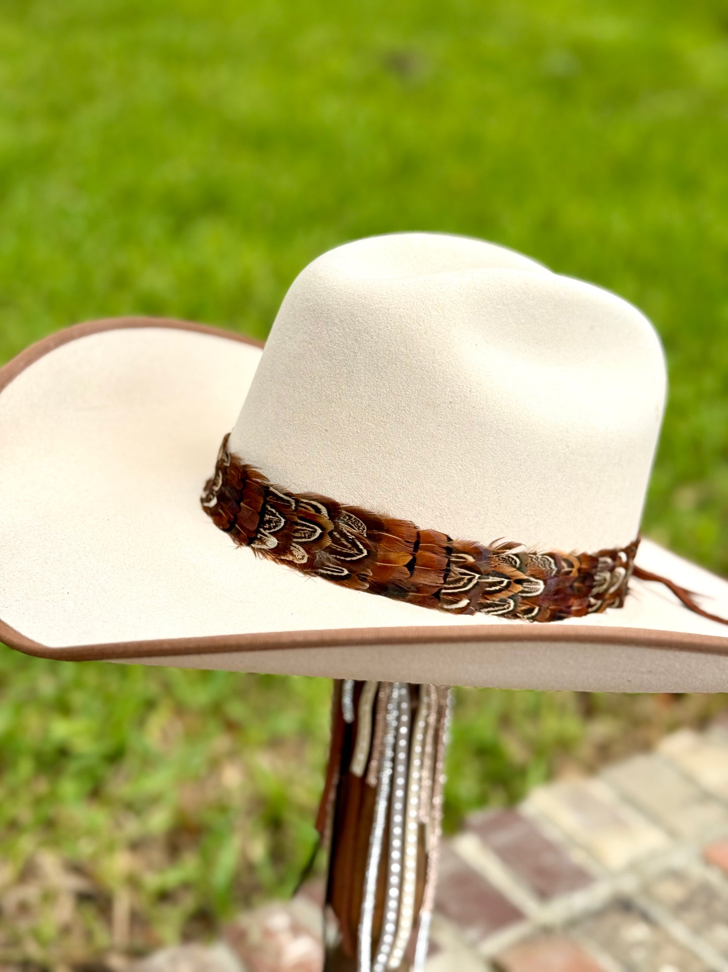 Pheasant Feather Hatband (Dark Brown)