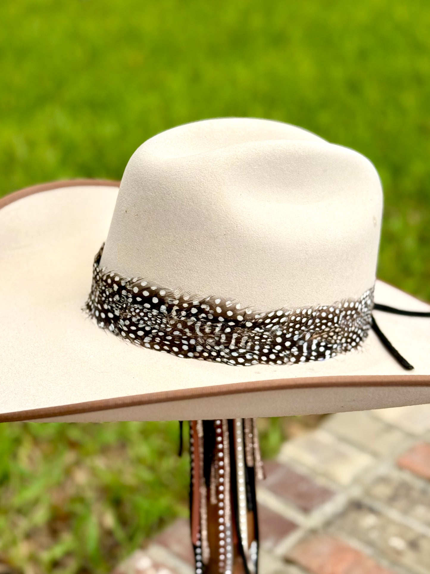 Black & White Feather Hatband