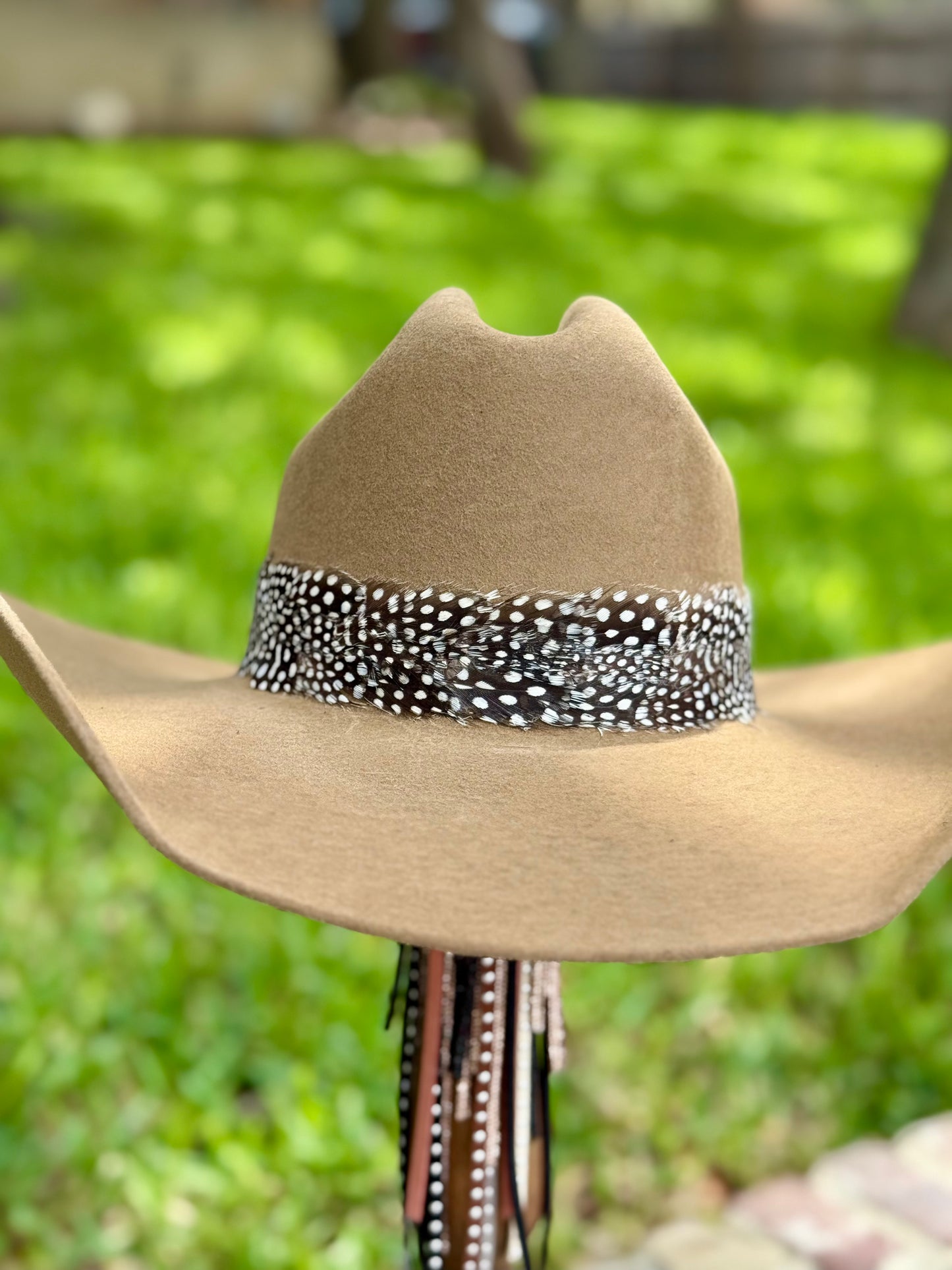 Black & White Feather Hatband