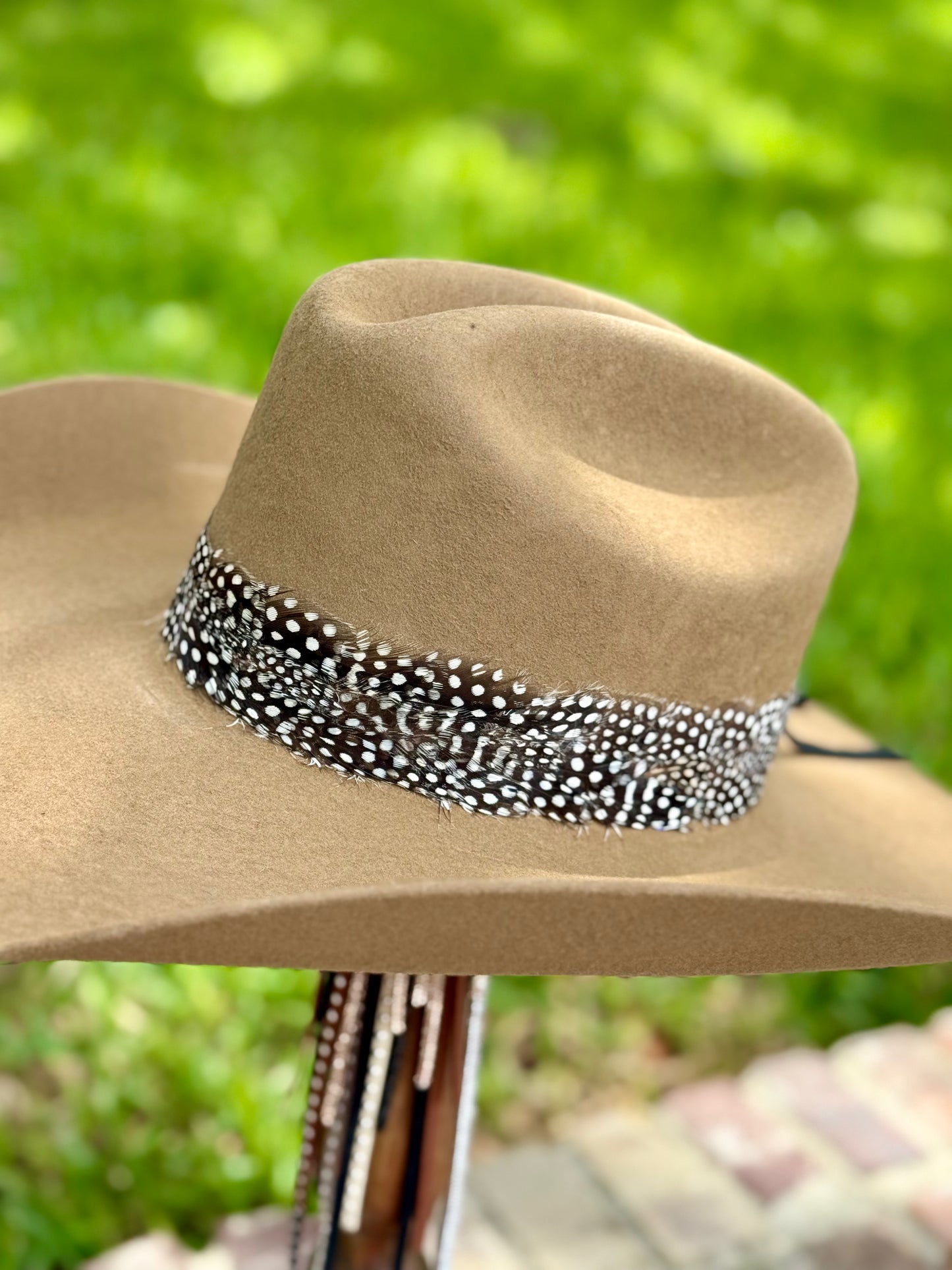 Black & White Feather Hatband