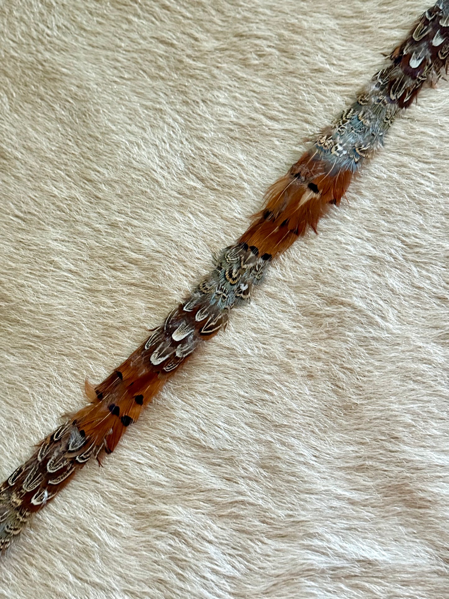 Pheasant Feather Hatband (Light Brown)