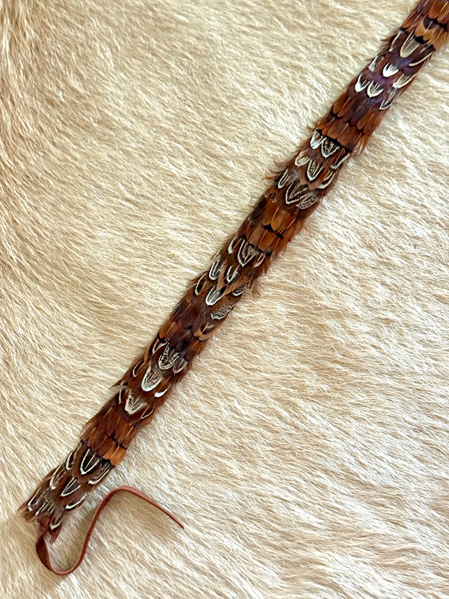Pheasant Feather Hatband (Dark Brown)
